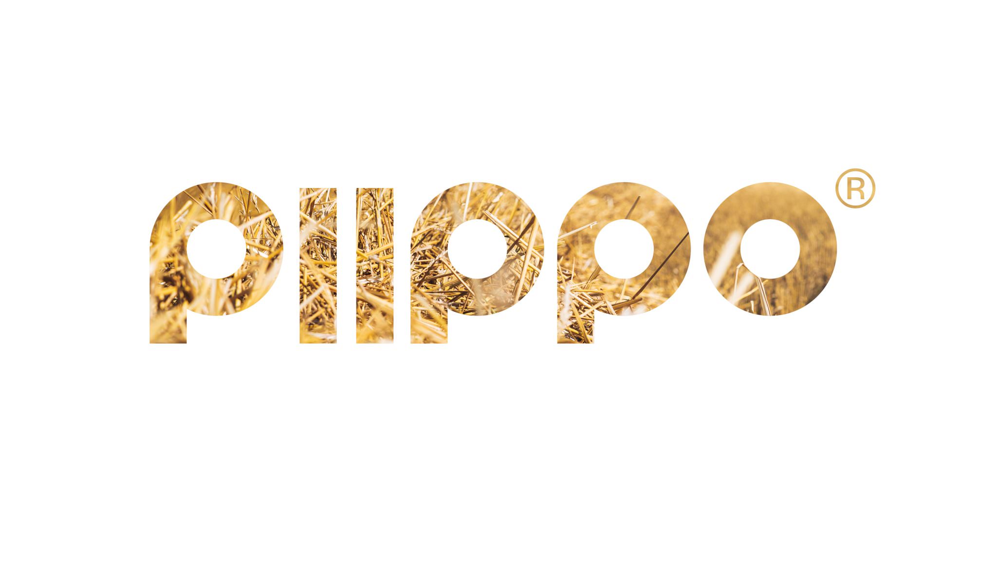 Партнеры компании - PIIPPO